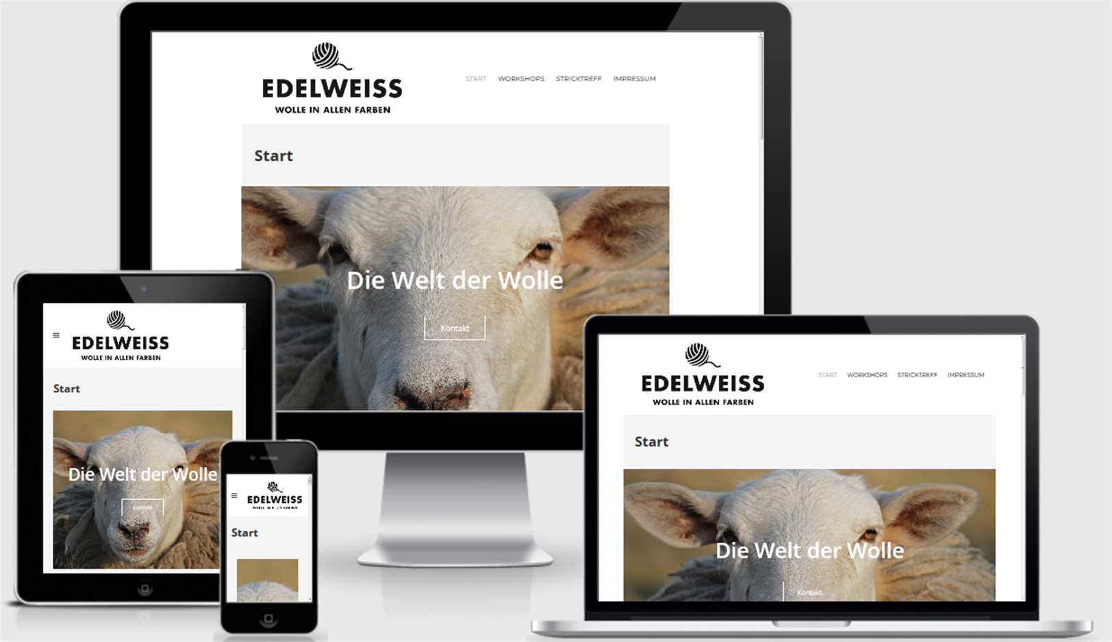 webdesign_referenz-edelweiss